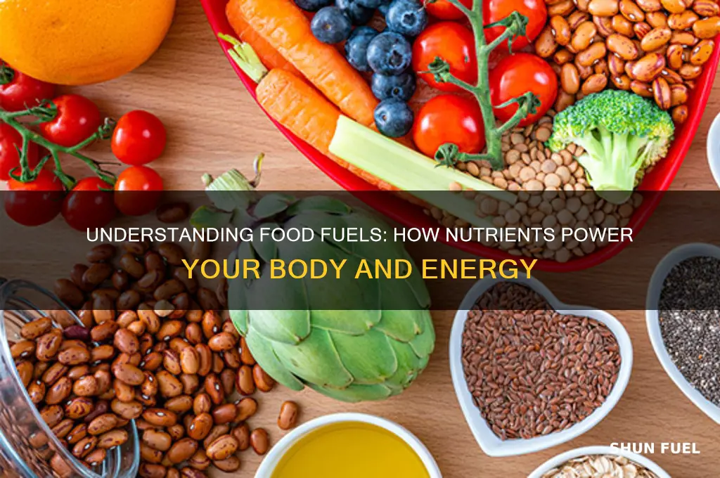 how does food fuels work