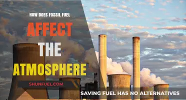 Fossil Fuel Impact: Atmospheric Fallout
