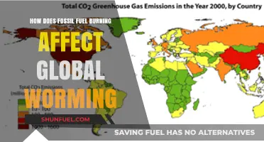 Fossil Fuel Burning: Warming Our Planet