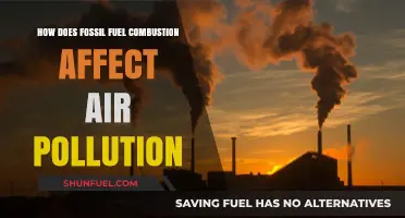 Fossil Fuel Combustion: Air Pollution's Primary Culprit