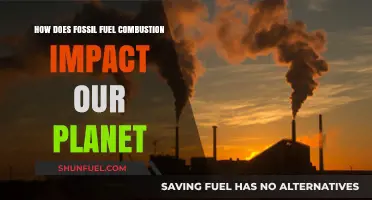 Fossil Fuel Combustion: Harming Our Planet's Health