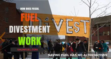 Divesting Fossil Fuels: Strategies for a Green Future
