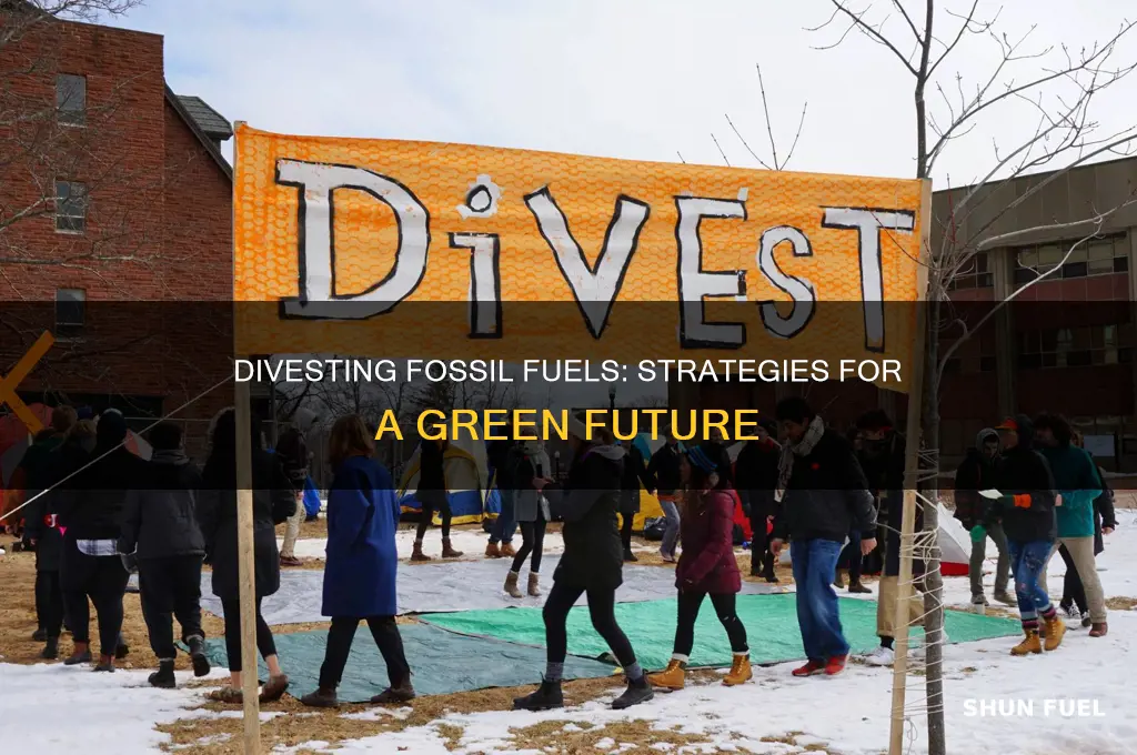 how does fossil fuel divestment work