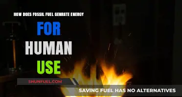 Fossil Fuels: Energy Generation Explained