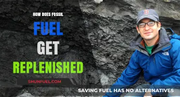 The Mystery of Fossil Fuel: Can It Be Replenished?