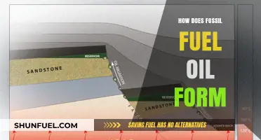 The Origin of Fossil Fuel Oil