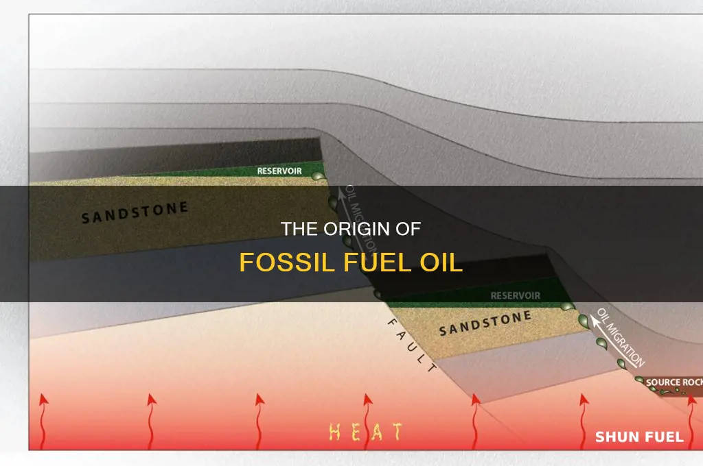 how does fossil fuel oil form