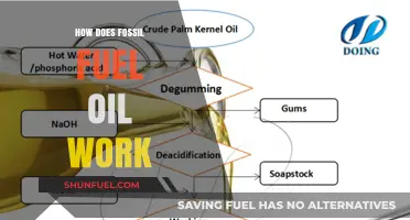 The Power of Fossil Fuels: How Oil Works