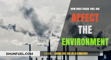 Fossil Fuel Use: Environmental Impacts and Sustainable Alternatives Explored