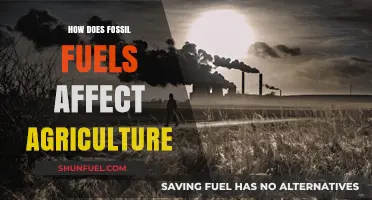 Fossil Fuels: Agriculture's Bane or Boon?