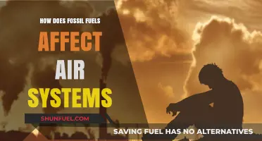 Fossil Fuels: Polluting Our Air Systems