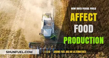 Fossil Fuels: Impacting Our Food, Our Future