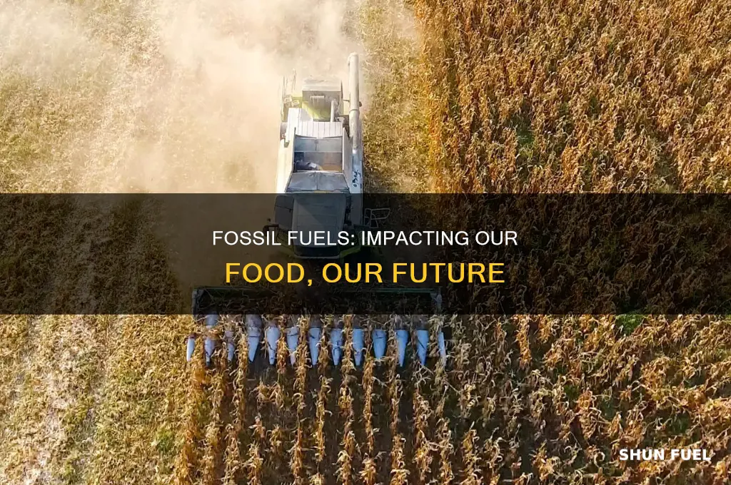 how does fossil fuels affect food production