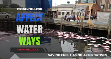 Fossil Fuels: Polluting Our Waterways