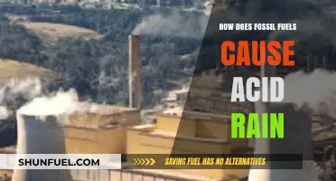 Fossil Fuels and Acid Rain: Uncovering the Environmental Connection