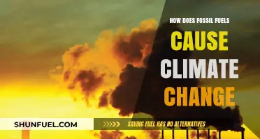 Fossil Fuels and Climate Change: Understanding the Devastating Connection
