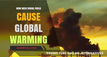 Fossil Fuels and Global Warming: Uncovering the Climate Crisis Connection