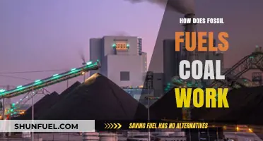Understanding Coal: How Fossil Fuels Power Our World Today