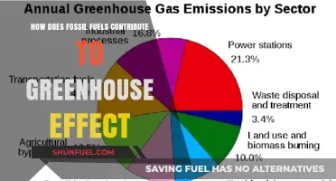 Fossil Fuels' Role in Intensifying the Greenhouse Effect Explained