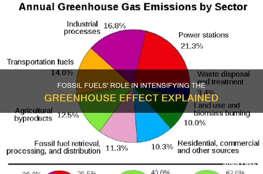 how does fossil fuels contribute to greenhouse effect