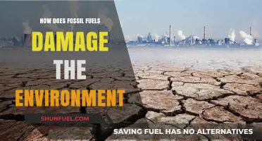 Fossil Fuels' Devastating Impact: Environmental Damage and Climate Crisis Explained
