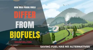 Fossil Fuels vs. Biofuels: Key Differences in Energy Sources
