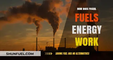 Understanding Fossil Fuels: How Energy Extraction and Combustion Power Our World