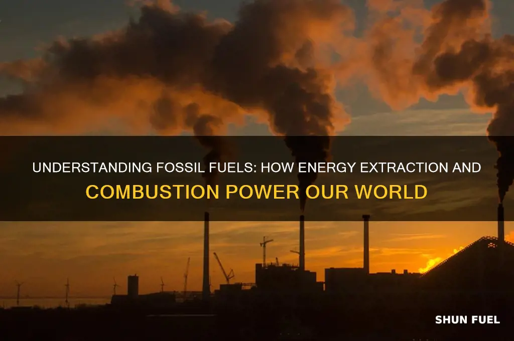 how does fossil fuels energy work