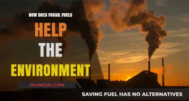 Fossil Fuels' Surprising Environmental Benefits: A Balanced Perspective