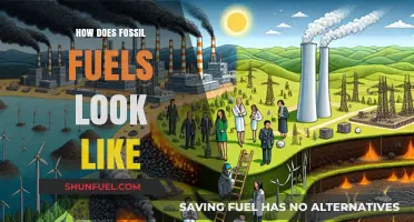 What Do Fossil Fuels Look Like? A Visual Exploration