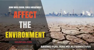 Fossil Fuels' Devastating Environmental Impact: Pollution, Climate Change, and Destruction