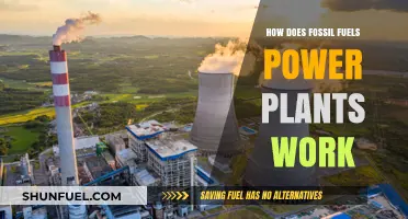 How Fossil Fuel Power Plants Generate Electricity: A Comprehensive Guide
