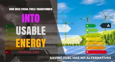 From Fossil Fuels to Power: The Energy Transformation Process Explained
