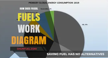 Understanding Fossil Fuels: A Visual Guide to Their Functionality