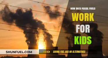 Discover Fossil Fuels: How They Power Our World for Kids