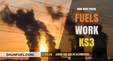 How Fossil Fuels Power Our World: KS3 Science Explained