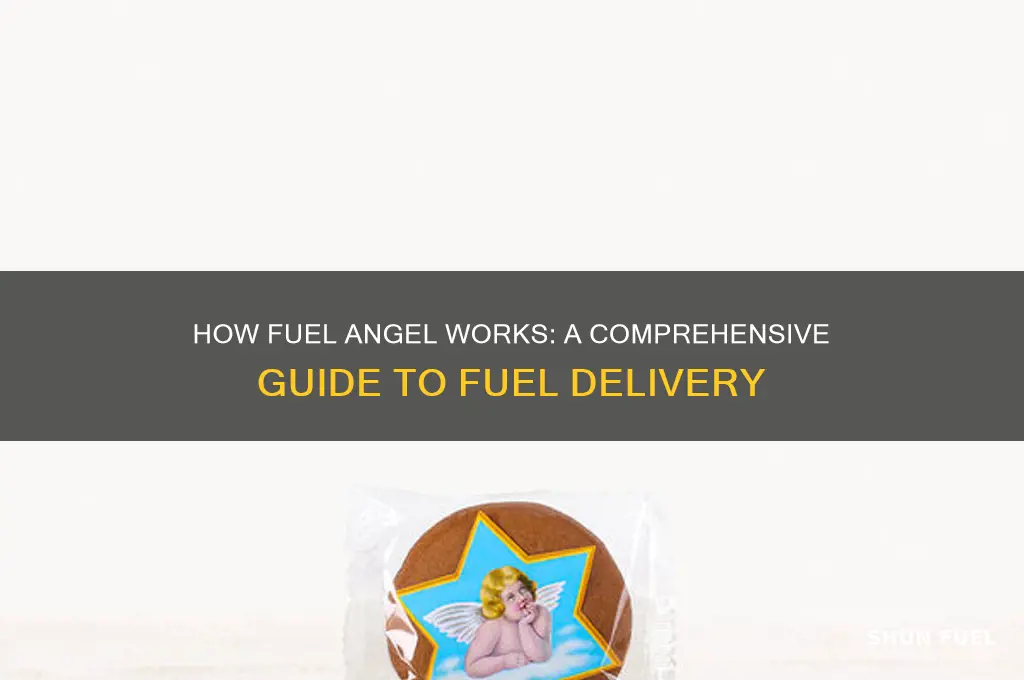 how does fuel angel work