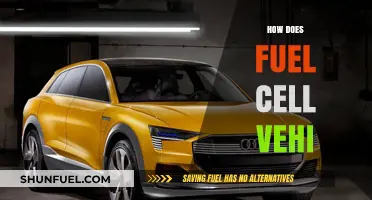 How Fuel Cell Vehicles Revolutionize Eco-Friendly Transportation Technology