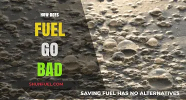 Why Fuel Degrades: Understanding How Gasoline and Diesel Go Bad