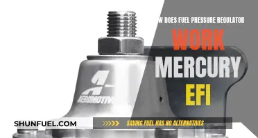 Understanding Fuel Pressure Regulator in Mercury EFI