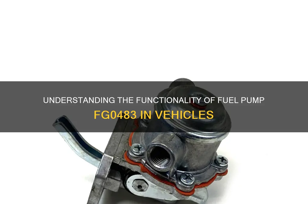 how does fuel pump fg0483 work
