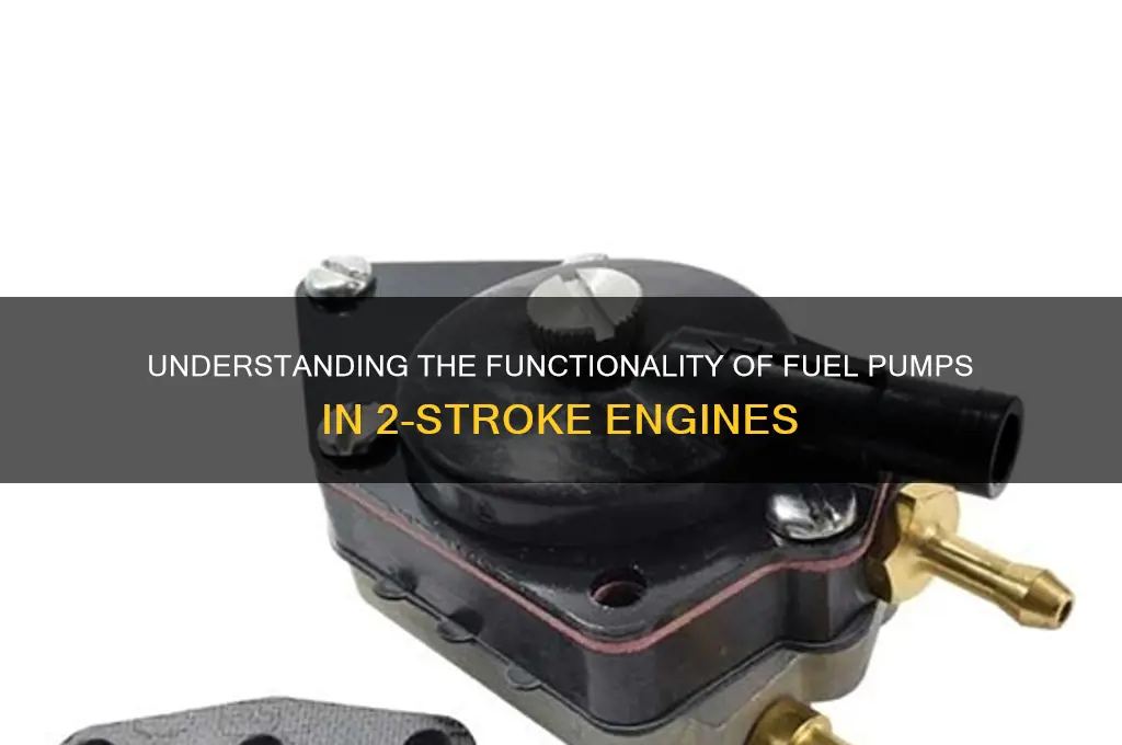 how does fuel pump work on 2 strioke