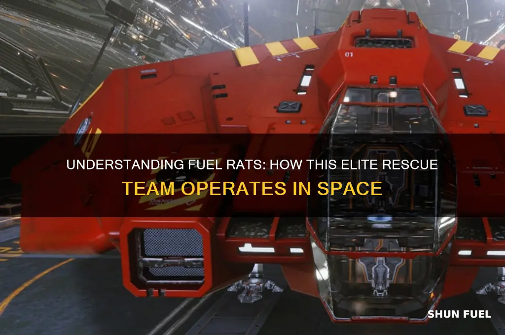how does fuel rats work