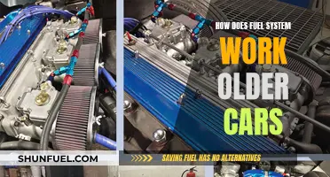 Unraveling the Fuel System: A Journey into Older Car Mechanics