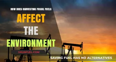Fossil Fuel Extraction: Environmental Impacts and Long-Term Consequences