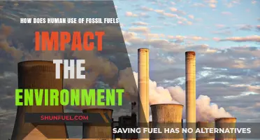 Fossil Fuels' Environmental Impact: Consequences of Human Energy Choices
