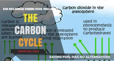 Fossil Fuel Burning: Disrupting Earth's Carbon Cycle and Climate Balance