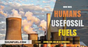 How Humans Rely on Fossil Fuels: Uses and Impacts