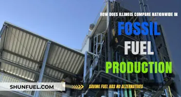 Illinois vs. the Nation: Fossil Fuel Production Rankings and Insights