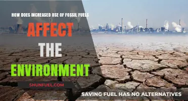 Fossil Fuel Dependence: Environmental Impacts and Urgent Need for Change